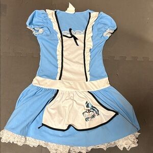 Alice in Wonderland Costume